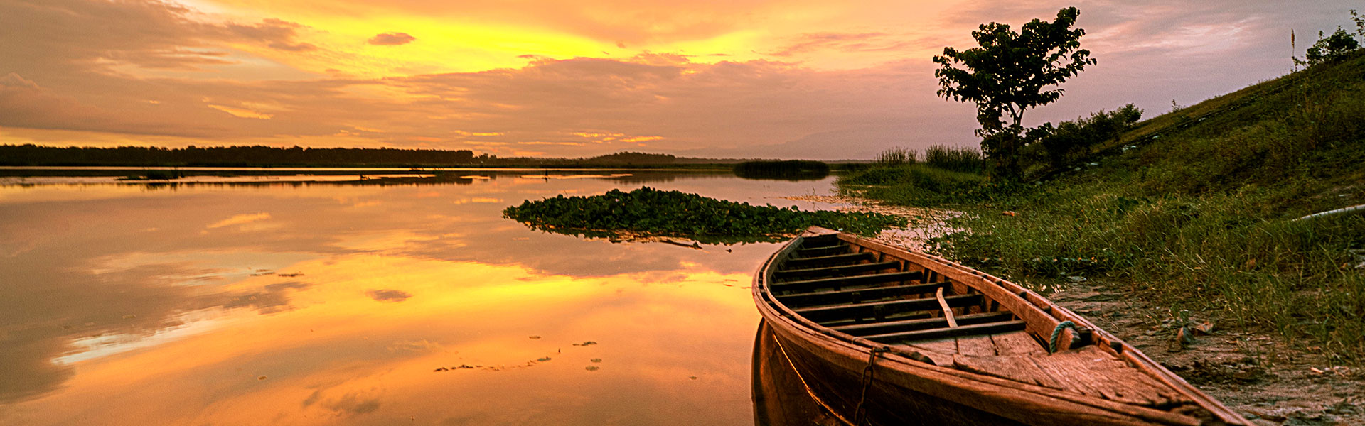 Dooars Wildlife Safari