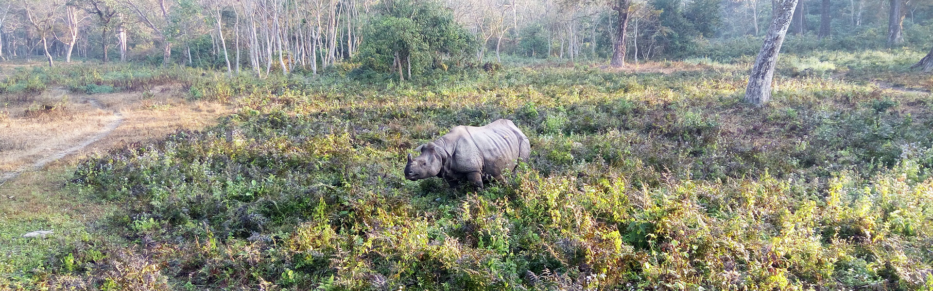 Serene Dooars Getaway